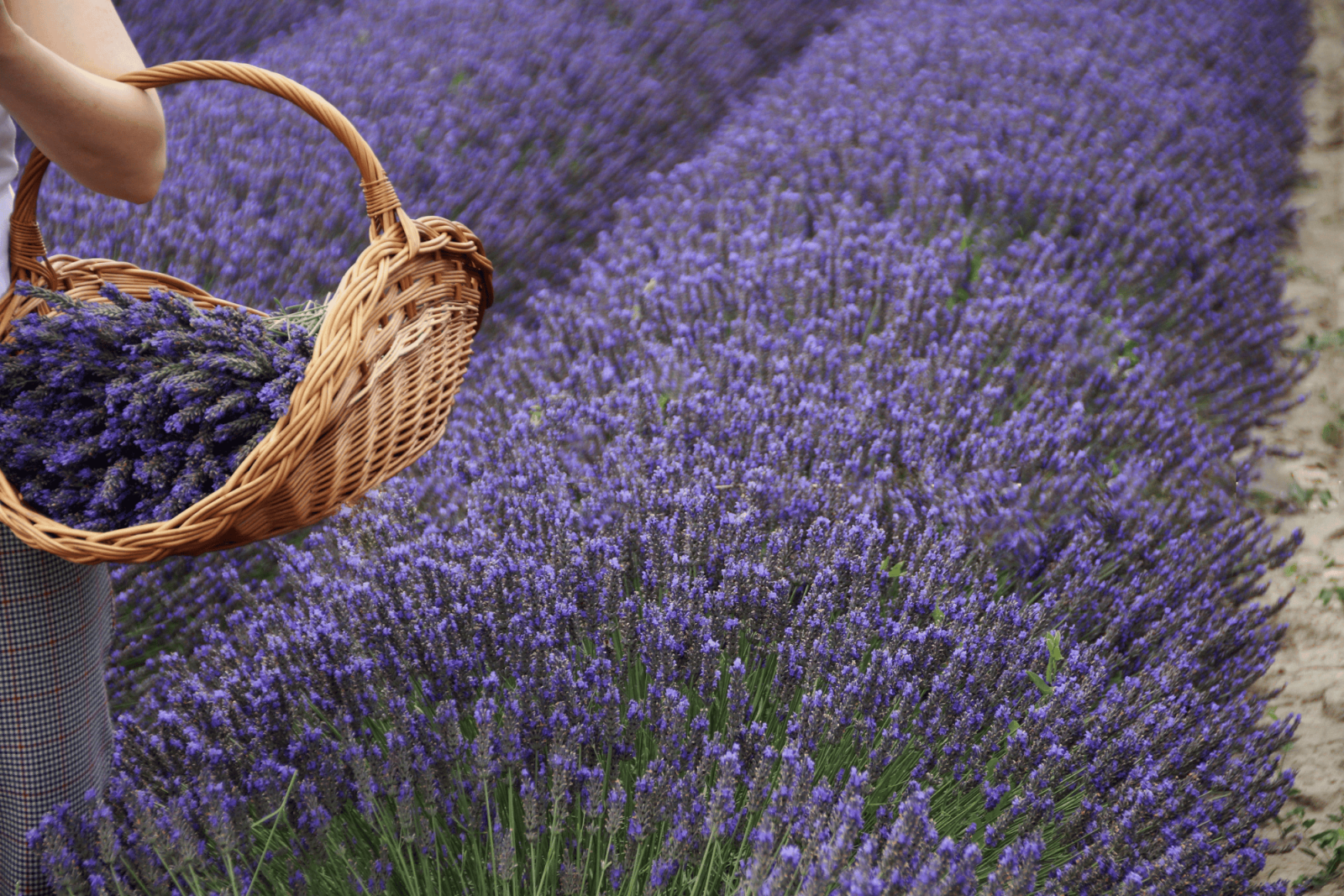 CSRD-raportointiprosessi