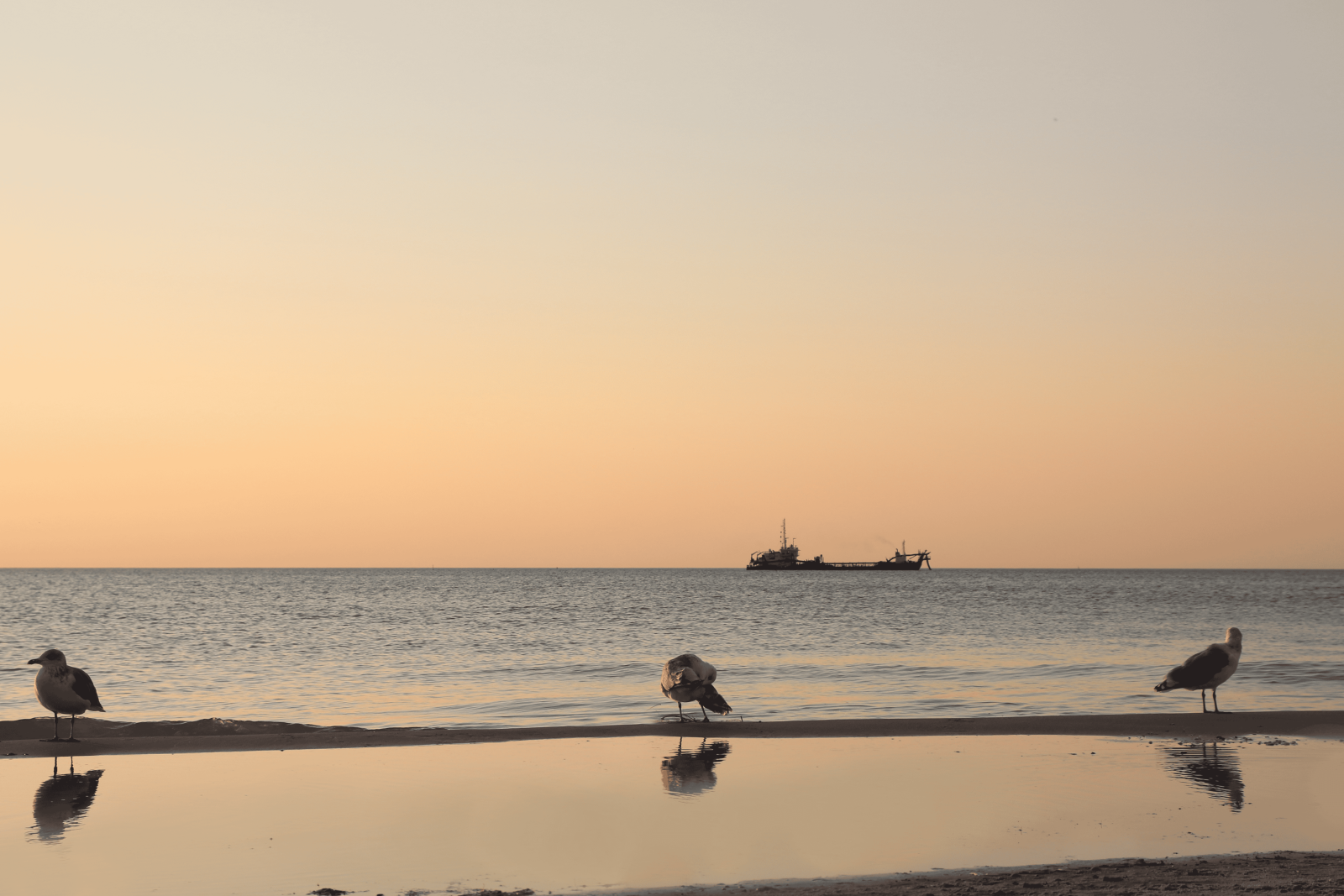 RodiniaBlogi_luettavuus