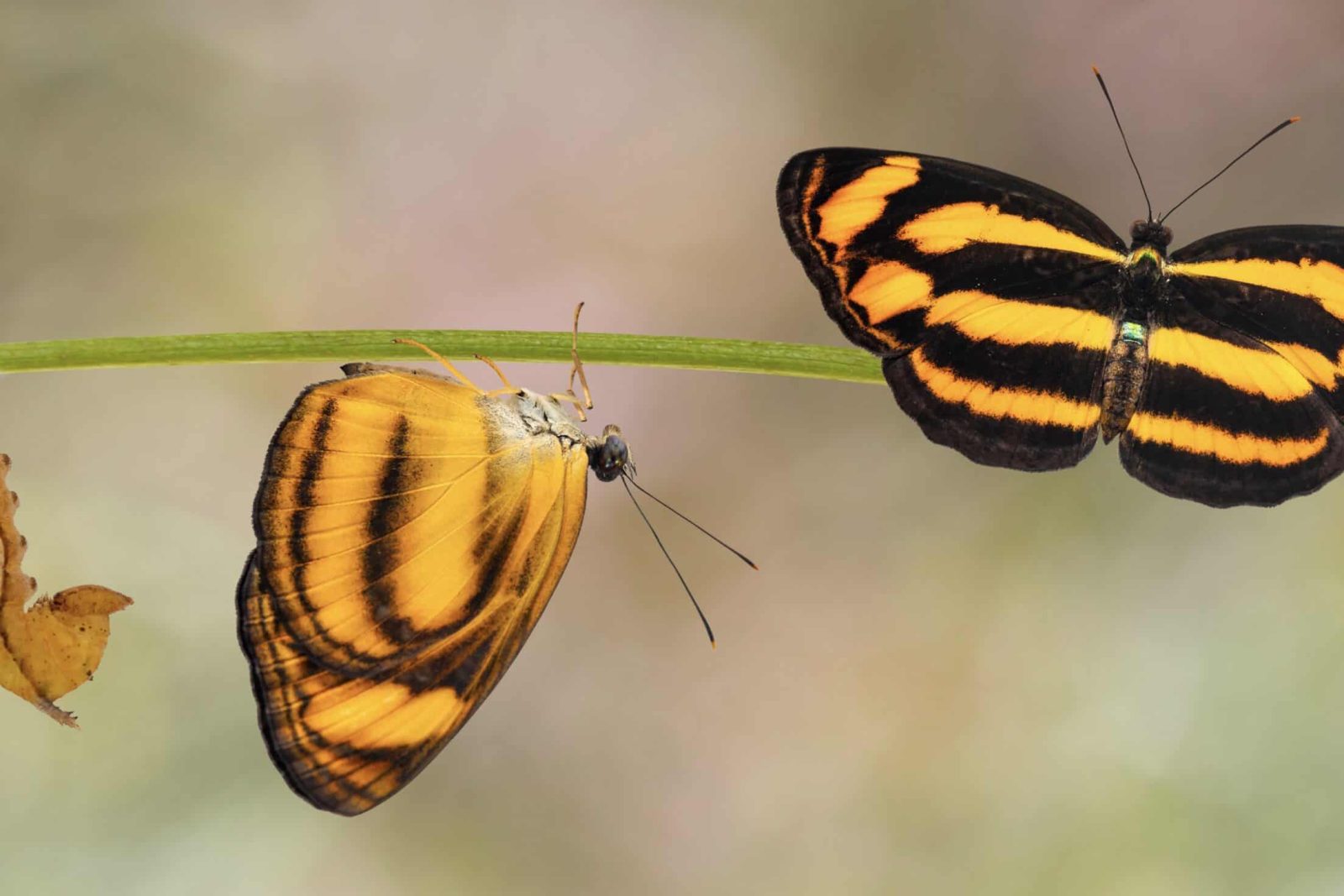 Blogien kuvia - Sidosryhmäviestintä, luottamuksen rakentaminen