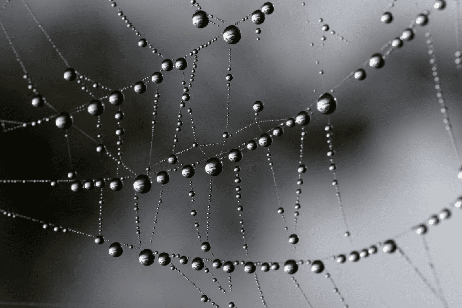 asiakastarinat & blogit kuvat