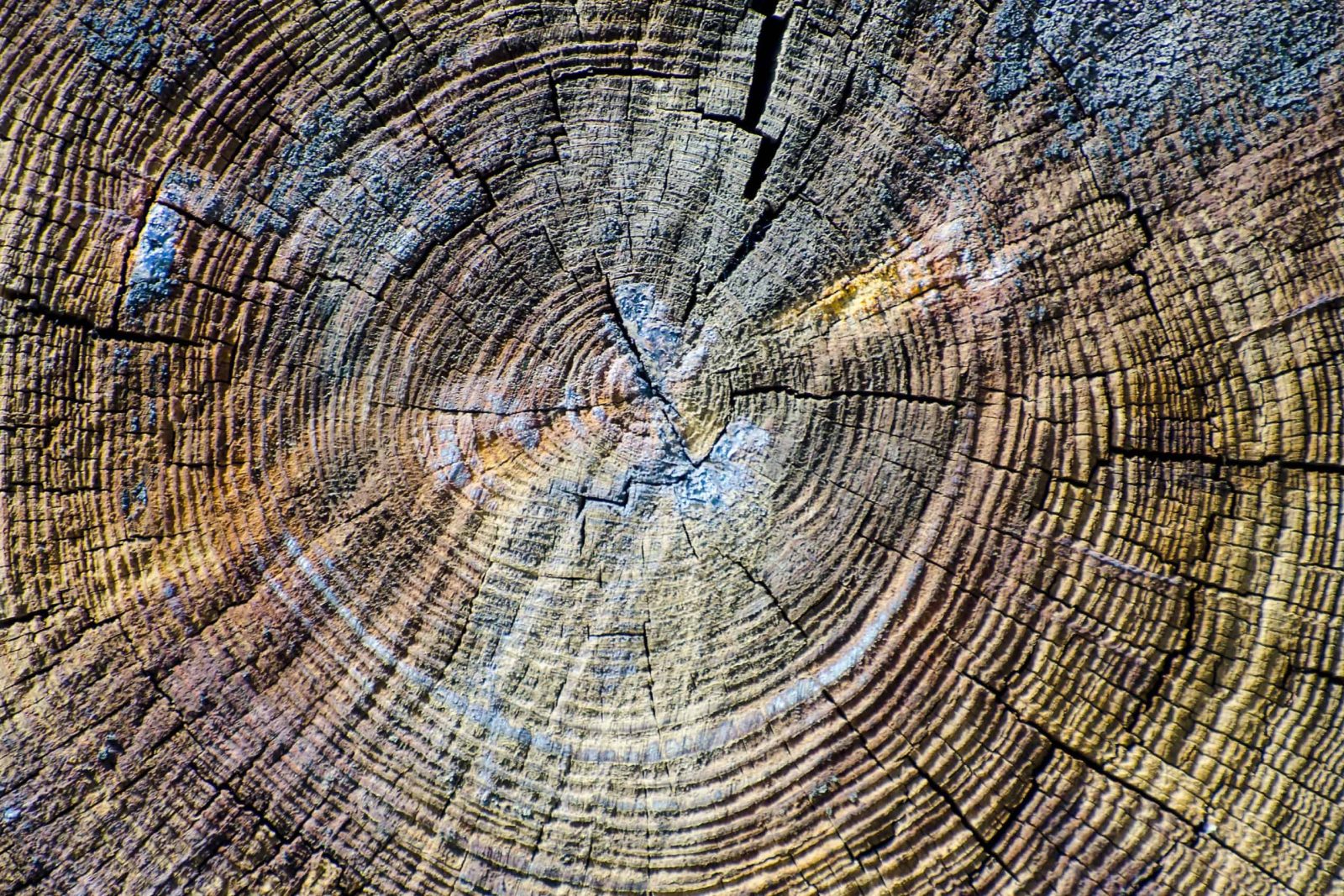 Rodinia storytelling of circular economy