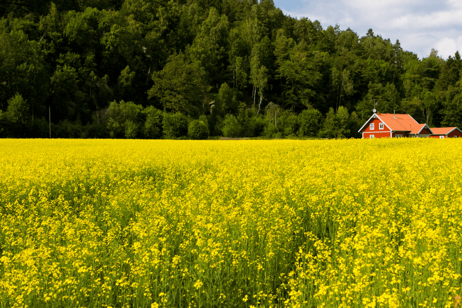 Miksi Pk-yritysten vastuullisuusraportointi kannattaa?