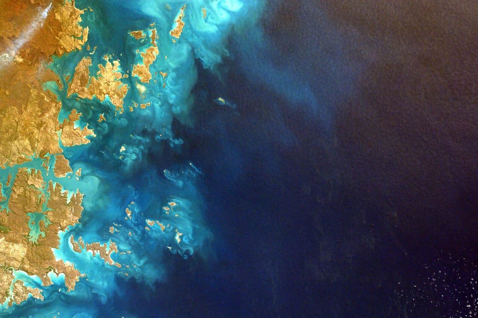 rodinia-viesintatoimisto-kestava-kehitys